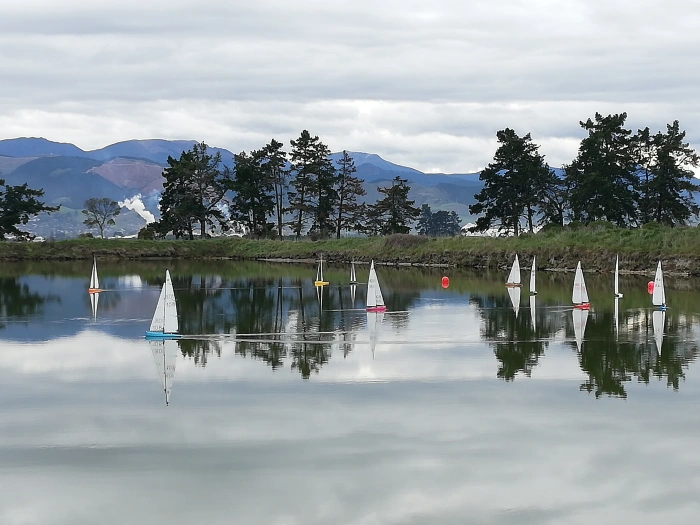 Best Island Sailing Venue Nelson NZ