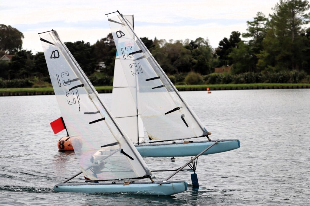 Mini40WattleFarmRegatta9